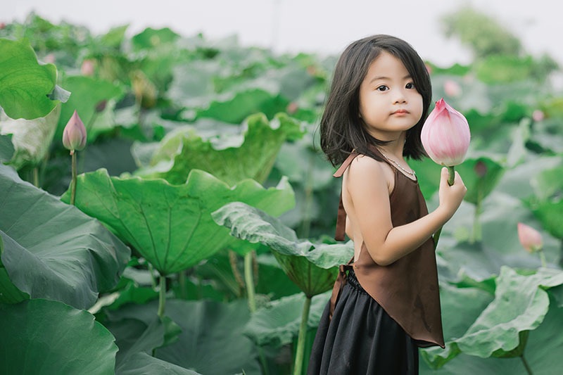 Bé gái Bắc Ninh xinh như thiên thần bên hoa sen - 5