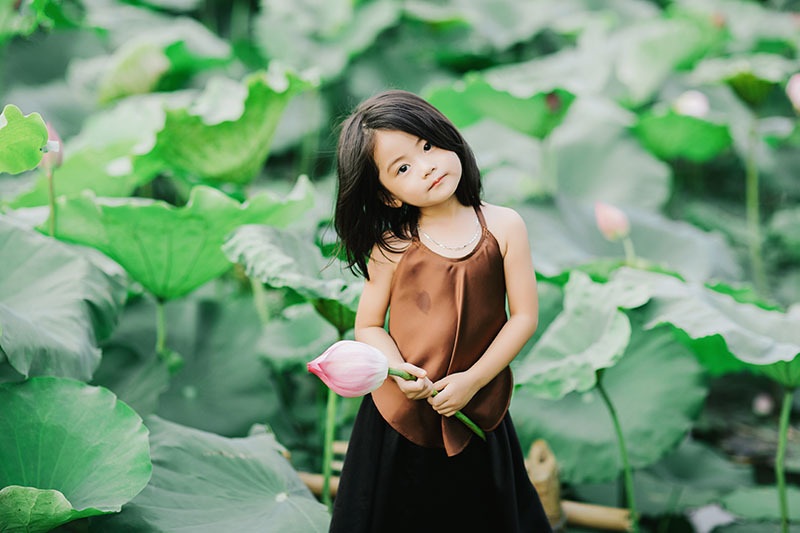 Bé gái Bắc Ninh xinh như thiên thần bên hoa sen - 7