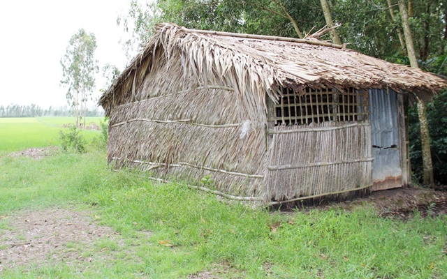 Ngủ một mình trong chòi, một bé gái bị