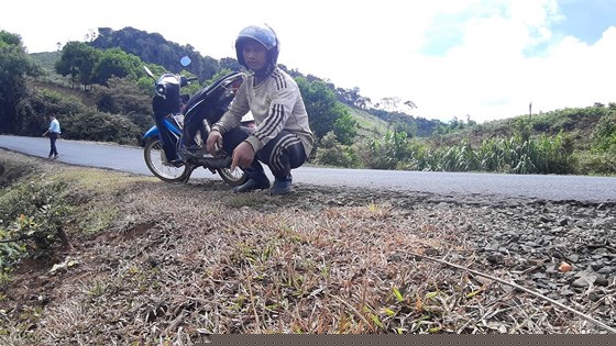 Một vị trí phun thuốc ở xã Hiếu