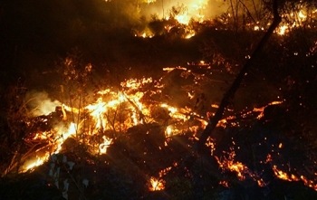Điểm báo ngày 2/7/2019: Bài học rút ra từ những vụ cháy rừng