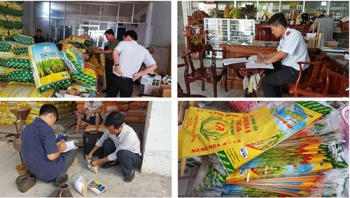 Lúa thực phẩm "hô biến" thành lúa giống