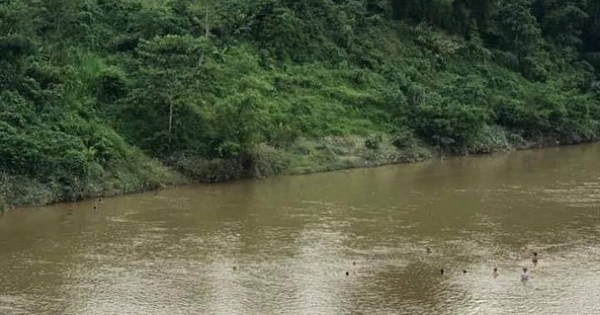 Nghệ An: Nhóm trẻ bất lực nhìn bé gái 7 tuổi bị dòng nước cuốn trôi