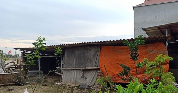 Bắc Ninh: Rắc rối vì mua đất ven đê của Hợp tác xã