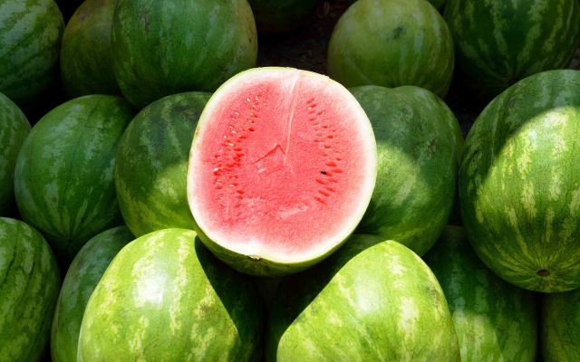 Nông sản dồn ứ không thể xuất khẩu sang Trung Quốc