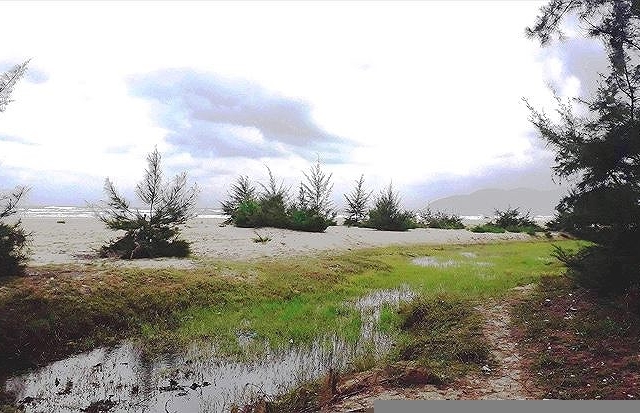 TT-Huế: Làm rõ trách nhiệm vụ hàng chục lô đất 'vàng' ven biển cấp trái phép cho cán bộ