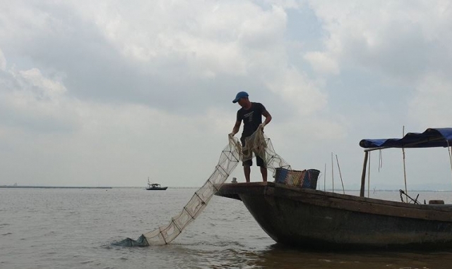 Nỗi lo khi ngư trường Tràng Cát bị “xóa sổ”