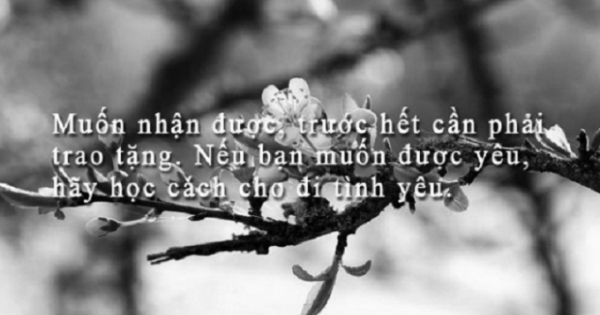 Sinh ra tay trắng, lúc về cát bụi cũng hoàn trắng tay