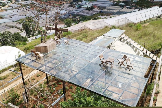 Buộc tháo dỡ 3 'đường lên thiên đường' ở Đà Lạt ảnh 5