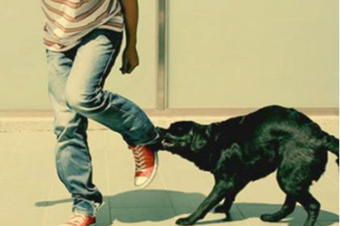 mo-bi-cho-can-vao-tay-chay-mau-la-diem-gi11122