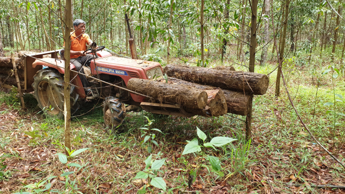 67505058_941889612816703_3055160780543492096_n