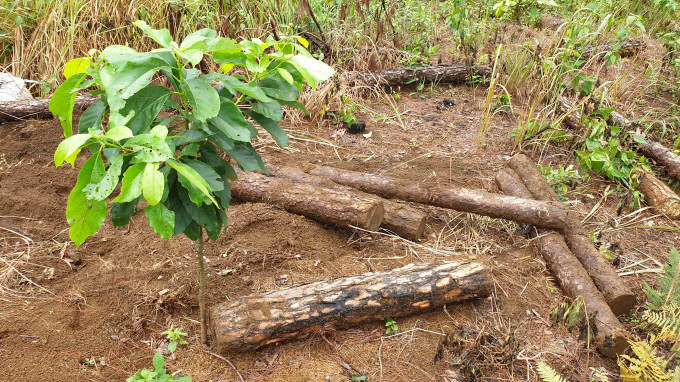 66809919_2443405932612991_6882920043730960384_n