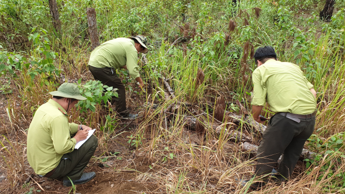 66828011_486579278581831_8837601716460322816_n