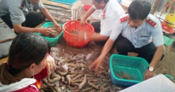 Điểm báo ngày 18/7/2019: Vấn nạn tôm bơm tạp chất - Diễn biến phức tạp, tinh vi hơn