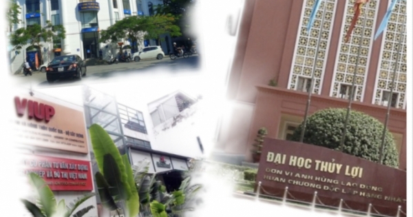 Cho thuê tài sản công sai quy định bị phạt cao nhất 20 triệu đồng