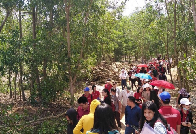 Alibaba dua khach di tham quan du an o Binh Thuan (1)