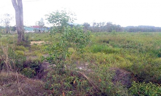 Vụ tranh chấp đất ở Phú Quốc, Kiên Giang: Trả lời của VKSND Tối cao