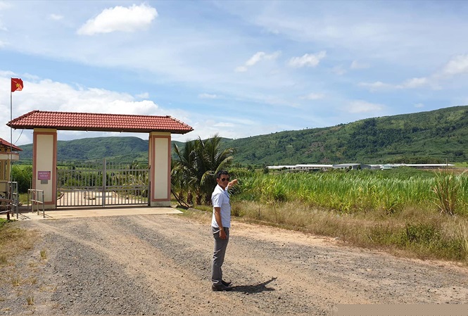 Dự &aacute;n nu&ocirc;i b&ograve; của Cty Sao Đỏ tới nay vẫn dang dở chưa xong.