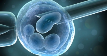 Điểm báo ngày 24/7/2019: Xót xa nghịch lý cha mẹ hiếm muộn bỏ phôi thai mới hình thành