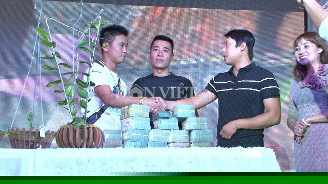 Chậu phong lan mẹ và 4 kie nhỏ được giao dịch với giá 5 tỷ đồng.