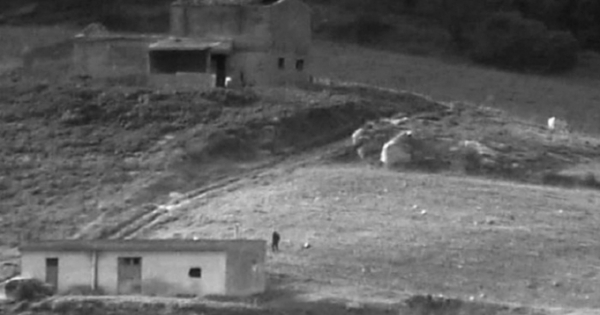 Hệ thống mật mã tội phạm lấy cảm hứng từ đàn cừu