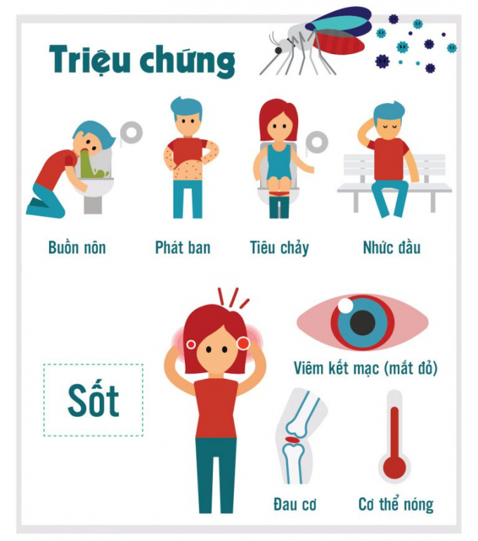 trieu-chung-virus-zika-la-gi-768x870