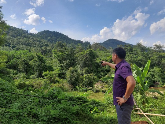 Gần 1.000 ha đất rừng giao doanh nghiệp Trung Quốc bị bỏ hoang từ 10 năm nay Ảnh: VŨ VĂN XOÀI.