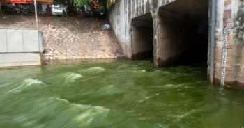 Chuyên gia Nhật Bản phản bác vụ xả nước Hồ Tây vào sông Tô Lịch