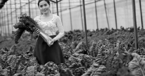 Khi ngân hàng không chỉ là nơi cấp vốn cho doanh nghiệp