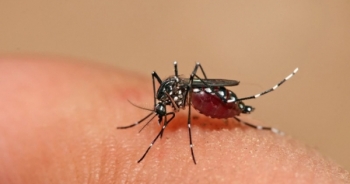 Một bé gái ở Đắk Lắk tử vong do sốt xuất huyết