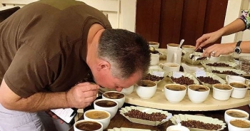 Uống một ly cà phê “mất đứt” gần nửa chỉ vàng