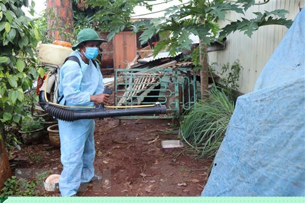 Bo Y te lap 8 doan kiem tra giam sat phong chong benh sot xuat huyet hinh anh 1