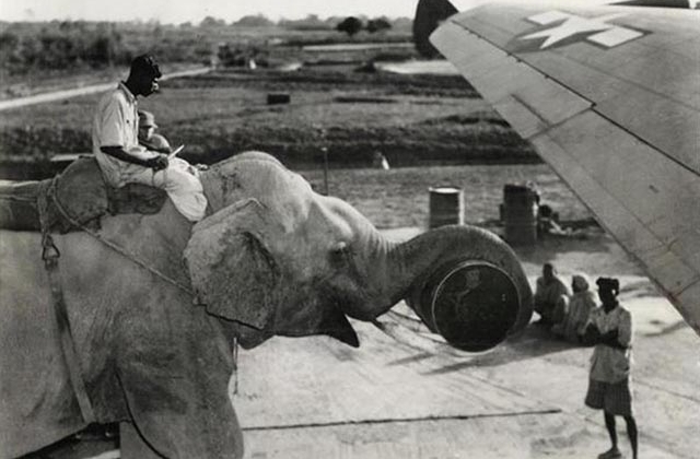 Nhưng bức ảnh đen trắng hiếm gặp đi vào lịch sử