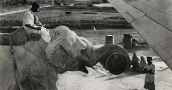 Nhưng bức ảnh đen trắng hiếm gặp đi vào lịch sử