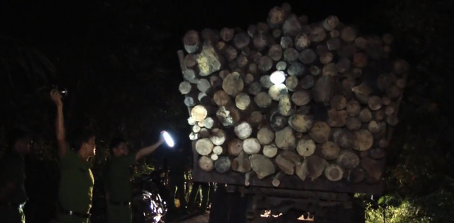 Bắt giữ nhóm khai thác rừng trái phép quy mô lớn