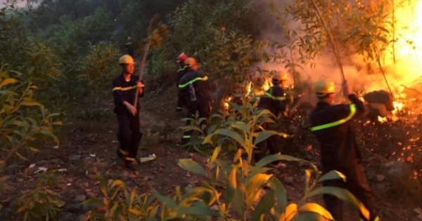 6 ngày căng mình dập lửa cứu rừng Nghệ An