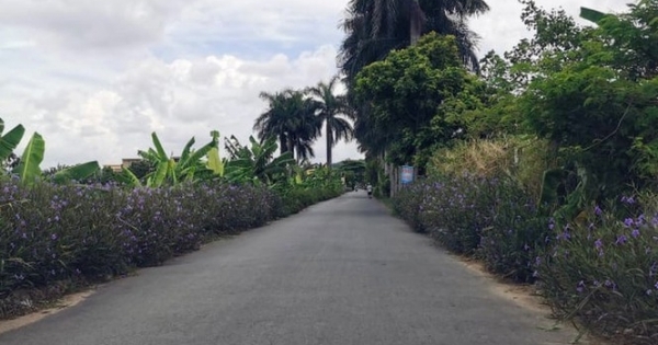 Hải Phòng: Cán bộ quản lý đô thị bị hai kẻ lạ mặt chém trọng thương