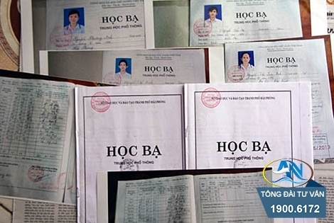 Cách chức Bí thư xã sử dụng học bạ giả