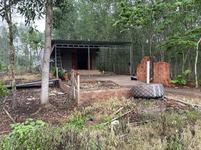 Dat dai nguoi dan dang sinh song (2)