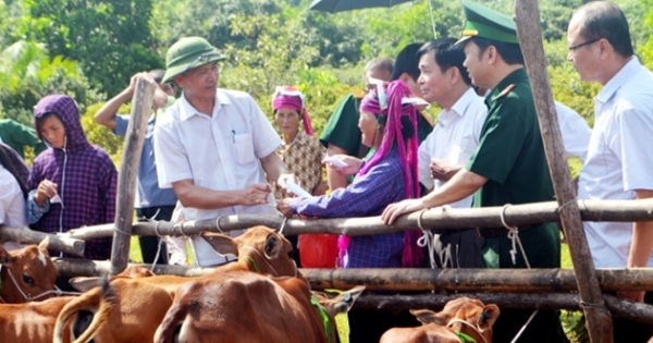 Phó Thủ tướng Vũ Đức Đam chủ trì họp Ban Chỉ đạo giảm nghèo bền vững