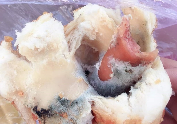 h14a-15948850872811823024433