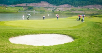 Công ty QNK Bắc Giang bị thúc nộp 1 tỷ đồng tiền trồng rừng thay thế lần thứ 6!