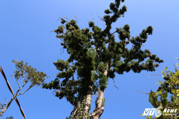 cd8171ab72ea9bb4c2fb_xvue