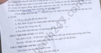 Đáp án đề thi môn Văn vào lớp 10 vào THPT tỉnh Nghệ An năm 2020