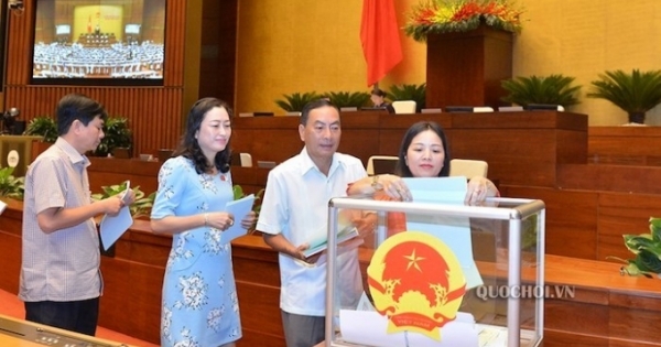 Chọn người tài và quy định “quy hoạch, độ tuổi” - Phần 2