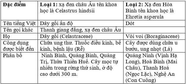 Phân biệt Xạ đen châu Âu và Xạ đen Hòa Bình.