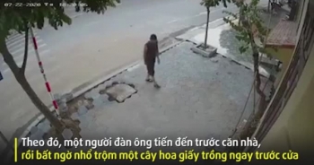 [Clip]: Phẫn nộ cảnh người đàn ông "vác nhầm" cây hoa giấy trước nhà dân
