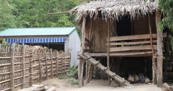 Những chuồng bò hạng sang ngốn gần 13 tỷ được thẩm định như thế nào