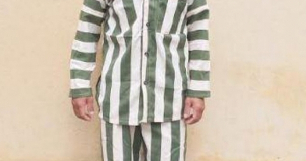 Gia Lai: Đối tượng chủ mưu trong vụ phá rừng huyện K