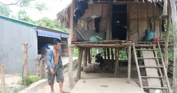 Những chuồng bò “hạng sang” ngốn gần 13 tỷ được xây dựng như thế nào?